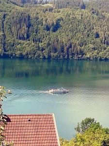米尔施塔特Haus Kraller-Urlaub mit Seeblick的湖中的小船