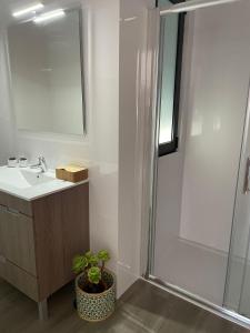 PerafitaPorto Smart Apartments Comfort的浴室配有水槽和带盆栽的淋浴