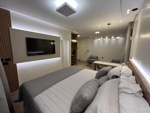 阿西斯Ônix Hotel的一间卧室配有一张床和一台平面电视