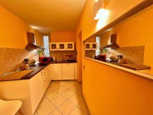 卢卡Piazza Napoleone Sweet apartment的一间设有黄色墙壁和白色橱柜的大厨房