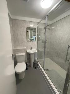 图克斯伯里The Royal Oak的浴室配有卫生间、淋浴和盥洗盆。