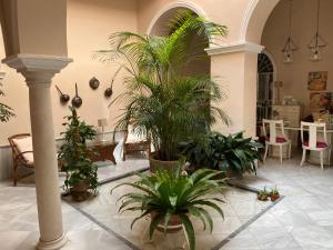 桑卢卡尔-德巴拉梅达Santo Domingo - Centro的一间种植了盆栽植物并配有桌椅的房间