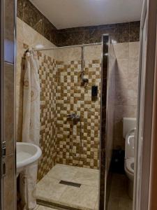 普里什蒂纳Hotel Lido的带淋浴、水槽和卫生间的浴室
