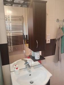 布达佩斯D38 Pestelizabeth Apartman的一间带水槽和镜子的浴室