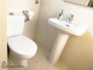 耶克拉Apartamento Pandora的白色的浴室设有卫生间和水槽。
