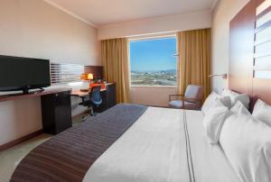 康塞普西翁MDS Hotel Concepción的配有一张床、一张书桌和一扇窗户的酒店客房