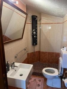 塞里纳Paradise La Tana的一间带水槽、卫生间和镜子的浴室