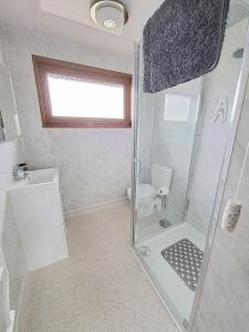BrundallRiver Retreat - Norfolk Broads的带淋浴和卫生间的小浴室