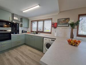 BrundallRiver Retreat - Norfolk Broads的厨房配有绿色橱柜和洗衣机。