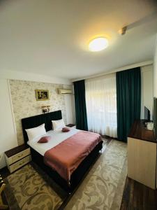 百乐·奥拉内斯蒂最高酒店的酒店客房设有一张大床和一台电视。