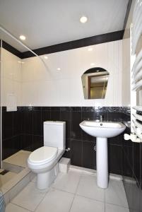 埃里温19Tumanyan Excellent apartment in the centre of capital的一间带卫生间和水槽的浴室