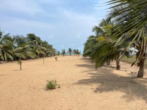 Grand-PopoSpacious and cozy beachfront villa的沙滩上一排棕榈树