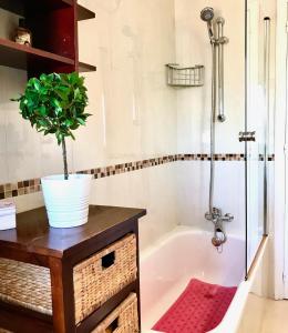阿桂拉斯Primera Linea de Playa con vistas al Mar的带浴缸的浴室和桌子上盆栽植物
