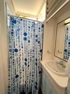 维纳德马Sentir Patagonia的浴室配有淋浴帘和盥洗盆。