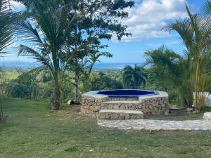 里奥圣胡安Piscina vista al mar, Jacuzzi con agua caliente的棕榈树田里的石头火坑