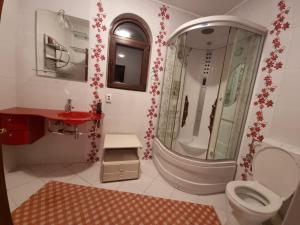 瓦马PENSIUNEA LUXURY的带淋浴、卫生间和盥洗盆的浴室