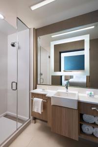 达拉斯SpringHill Suites by Marriott Dallas Richardson/University Area的一间带水槽和淋浴的浴室