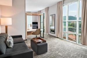 罗阿诺洛诺克万豪春季山丘套房酒店的带沙发和大窗户的客厅