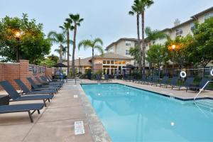 埃尔塞贡多洛杉矶LAX/埃尔塞贡多原住客栈的酒店旁的游泳池设有躺椅