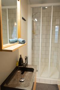 雷恩Studio Ropartz au pied du métro的一间带水槽和淋浴的浴室