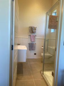 蒂阿瑙Luxury on Howden的带淋浴、盥洗盆和卫生间的浴室