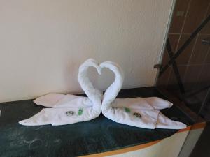 墨西哥城Hotel Extasis的两个毛巾天鹅在柜台上做心