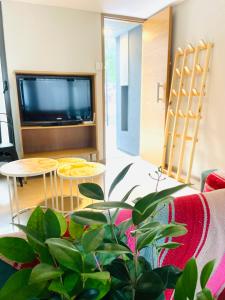 门多萨Casa Champagnat的一间带电视和盆栽植物的客厅