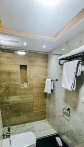 开罗Luxury VIP apartment的带淋浴、卫生间和毛巾的浴室