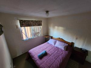 圣佩德罗德拉帕斯Concepción - San Pedro de la Paz的一间卧室配有一张紫色床和窗户