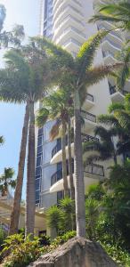 黄金海岸Bellagio@Chevron, Luxe, 2 Bedroom Apartment in the Heart of Surfers Paradise!的一群棕榈树在一座建筑前