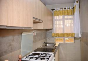 ThikaNova Homes的厨房配有炉灶、水槽和窗户。