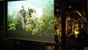 邦劳Banyan Villa Panglao with private pool的一张带有丛林照片的电视屏幕
