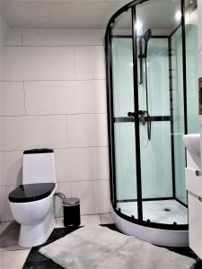 普里恩斯慕斯Glempings Anemones的一间带卫生间和玻璃淋浴间的浴室