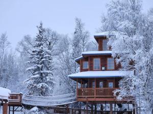 帕尔默The Eagle's Nest Treehouse Cabin的一座大木屋,里面积雪