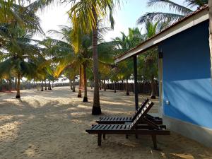 KottanitivuNayan's Paradise的棕榈树海滩上的长凳