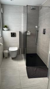 伦敦Stunning new 1 bedroom apartment的带淋浴和卫生间的浴室。