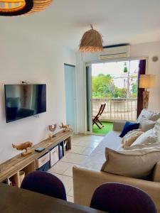 滨海圣西尔La Frégate - appartement à 100 m de la plage的带沙发和电视的客厅