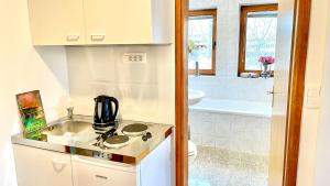 卢布尔雅那Apartments Katrca Bežigrad的一间带水槽和炉灶的小厨房
