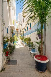 丹吉尔DAR YAMNA Maison typique Kasbah de Tanger的楼里一排盆盆栽的小巷