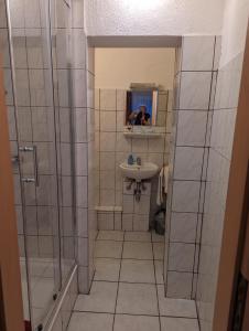 科隆Hotel Heideklause的带淋浴、盥洗盆和镜子的浴室