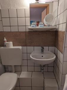 科隆Hotel Heideklause的一间带卫生间和水槽的小浴室