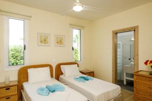阿依纳帕Cape Greco Villa Anastel 2的带2扇窗户的客房内的2张床