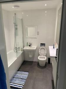 格拉斯哥03 Glasgow Flat的浴室配有卫生间、淋浴和盥洗盆。