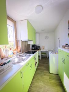拉多夫吉卡PUŽMAN Farm Glamping的厨房配有绿色橱柜和水槽