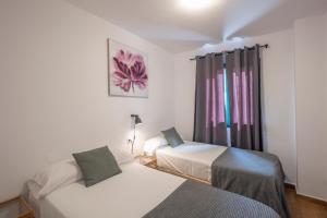 洛思坎加约斯洛斯罗萨雷斯公寓的带窗户的客房内的两张床