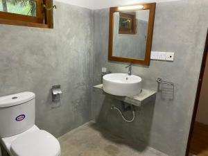 坦加拉Hanguk Lanka Lagoon Villa的一间带卫生间、水槽和镜子的浴室
