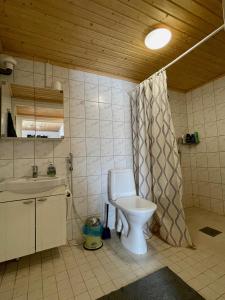 JoutsaLamminmäen Juhla ja Peti的一间带卫生间和水槽的浴室