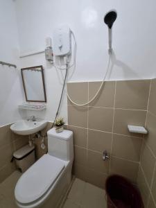 公主港Palawan two bedroom home in puerto princesa city的一间带卫生间、水槽和镜子的浴室