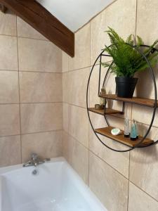 斯旺西Cilhendre Holiday Cottages - The Dairy的带浴缸的浴室和架子上的植物