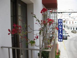 萨各夫雷纳帕洛马勒斯旅馆的花房边的标志